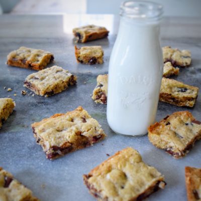 Loaded Oatmeal Cookie Bars