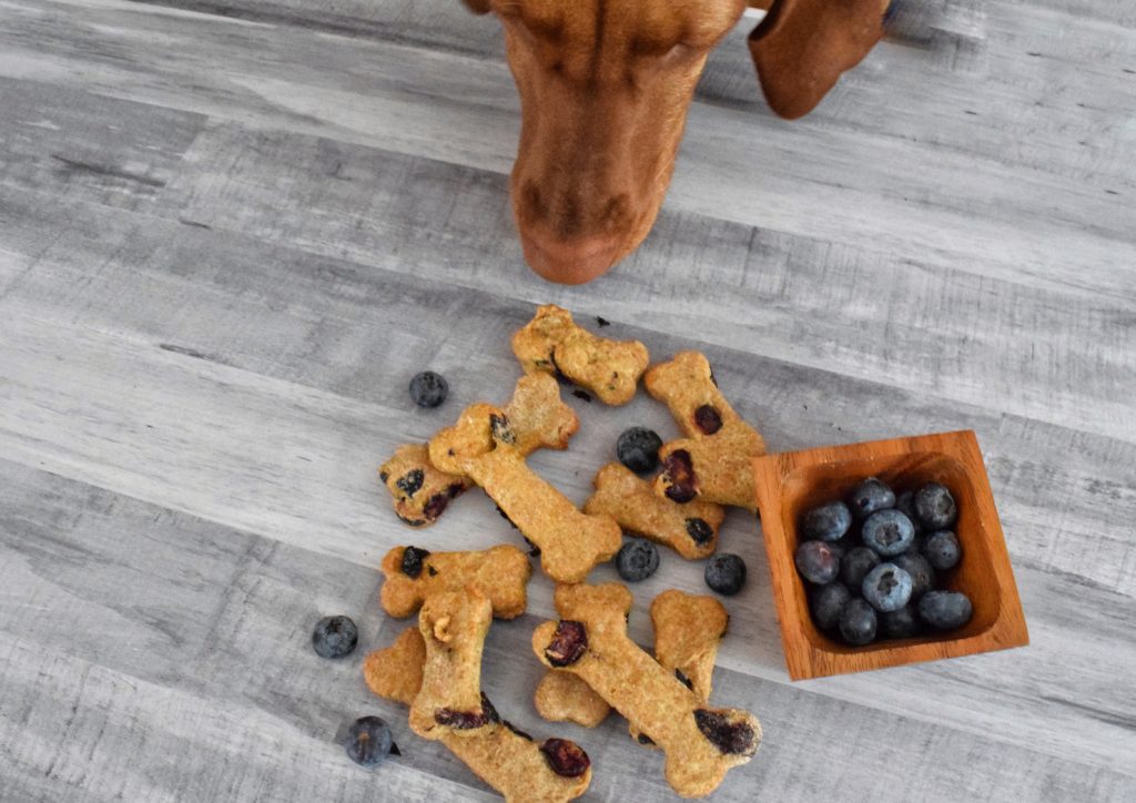 4 Ingredient Blueberry Dog Treats