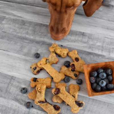 Easy 4-Ingredient Blueberry Dog Treats