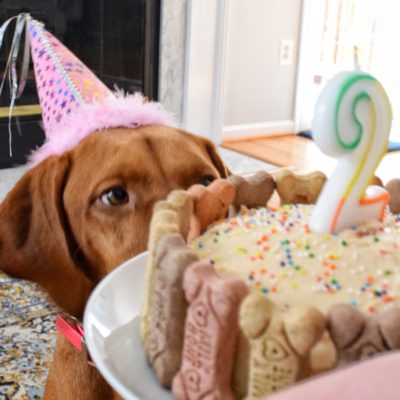 Peanut Butter Banana Pup Cake