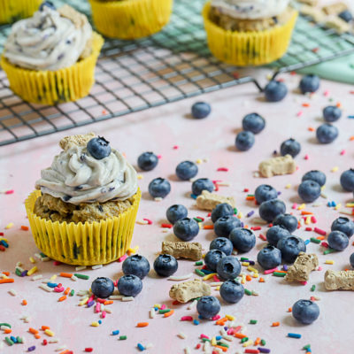 Blueberry Birthday Pupcakes – Cupcakes for Dogs!