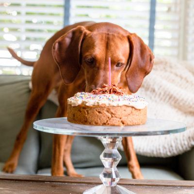 Peanut Butter Bacon Dog Birthday Cake